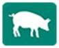 Gard Electric Porci Gard Electric Porci