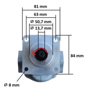 Pompa hidraulica Iseki, Kubota, Massey Ferguson, Mitsubishi, Yanmar, Satoh - Sparex 43780 - SNEC Cereale